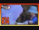 【実況】人魚とキナイと悲しい結末 #34【ドラゴンクエストⅪS】