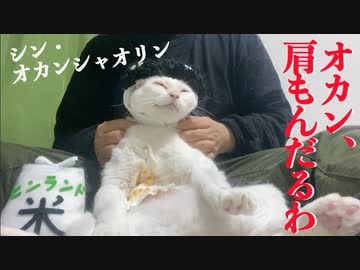 【猫】シン・オカンシャオリン、難敵と試練に立ち向かう