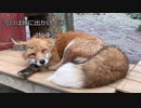 今日は旅に出かけよう　東北ツーリング　2日目