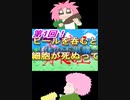 第1回！ビールを飲むと細胞が死ぬってマ！？教えて！屑木先生　～人体の不思議～