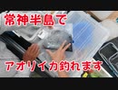 【海釣り動画】福井県常神半島ではヤエンでアオリイカが釣れます！エギングも釣れます！