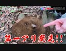 【セイマニ新素材】アリ第一発見者