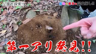 【セイマニ新素材】アリ第一発見者