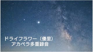 ドライフラワー（優里）アカペラ多重録音