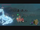 【実況プレイ】いまさらゼルダの伝説 Breath of the Wild: 138