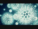 mRNAを注射した人々を二酸化塩素で救えるか　シーガル博士粘膜の免疫について語る　メリット博士、ショー博士、フェルミッヒ博士への新しいインタビュー　ワクチンの子供への影響:永久的な失明と聴覚障害:スチューピーターズショウ映像　トルコのイスタンブールでの数千人の反ワクチン行動映像