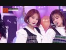 COMEBACK IZONE  BLOOM IZ 後