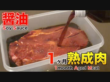 醤油に漬け込んで1ヶ月熟成肉作ってみた Insane Soy Sauce Dry Age Experiment!!