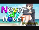 Never say never / Northbush feat. Lina