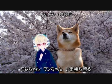 さくら（独勝）