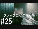 【ゆっくり実況】CONTROL その25