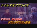 テイルズオブアライズ　サブクエスト攻略　賞金首退治　グランドドラゴン討伐　＃９３【Tales of ARISE】
