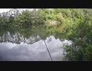 ブルーギル釣り　fishing fish bluegill in japan 釣青鰓日本　2