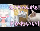 『つぐのひ』ワールドツアーねこのひ怪奇譚