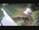 ブルーギル釣り　fishing fish bluegill in japan 釣青鰓日本　3