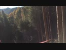 事故の理由「流出心霊動画　～呪われたスマホ動画編10本～」