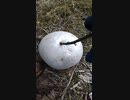 ダチョウの卵かと思った