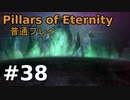 【ゆっくり実況】Pillars of Eternity 普通プレイ38