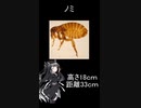 へんないきもの8