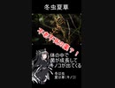 へんないきもの10