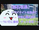 【PSO2NGS】今更聞けないギャザリング講座その1　中央エアリオ北部&アルト・ラニ高原(北エアリオの北部)【ゆっくり解説】
