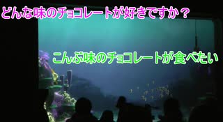 こんぶ味のチョコレートが食べたい【タートルトーク】東京ディズニーシー