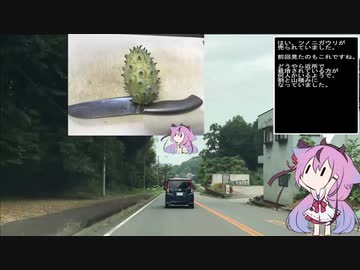珍食材お買い物旅！#6　大分編