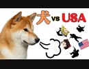 犬2匹がアメリカ軍に完全勝利した実話・キスカ島撤退作戦【ゆっくり面白雑学解説】