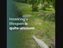 Stephen Hawking, The Worlds Oldest ALS Survivor Heres What We Know Thus Far