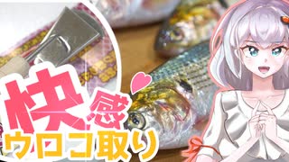 ウロコ取りで魚料理の楽しさが変わるっ！【キズナ☆食味研究所vol.番外】