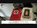 イタリアで反移民暴動が起きる理由
