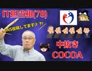 IT担当大臣(78)・中抜きアプリCOCOA  IT後進国日本【ゆっくり面白雑学解説】