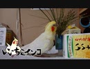 コロナ禍でもアマビエよりイヌビエ