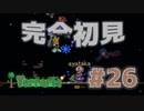 【女性実況】友人と大学最後の夏休みをエンジョイ#26【terraria テラリア】