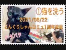 猫の風呂配信したら、思いっきり嫌がられた配信動画