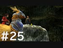 【FF10】これはひよこの物語 25【Steam版】