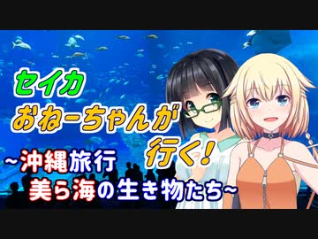 セイカおねーちゃんが行く！ ～ 沖縄旅行②　美ら海の生き物たち ～【VOICEROID車載・CeVIO車載】