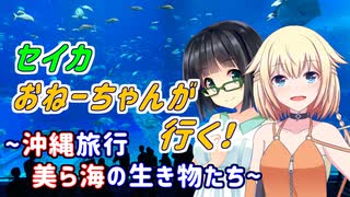 セイカおねーちゃんが行く！ ～ 沖縄旅行②　美ら海の生き物たち ～【VOICEROID車載・CeVIO車載】