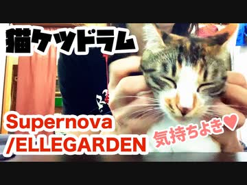 【猫ケツドラム】せがまれたのでSupernova叩いてみた - ELLEGARDEN