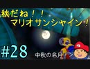 【夏しよう！】入社したい！スーパーマリオサンシャイン！【初見実況】＃28