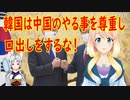 中国と会談した韓国、米国を取るか中国を取るか迫られ、北のミサイルについては「他国もやっている事」とし容認。【世界の〇〇にゅーす】