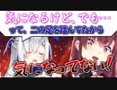 センシティブなマッサージ機を買った時の様子をベラベラ話すかなたと、必死に誤魔化そうとするマリン船長【宝鐘マリン/天音かなた/ホロライブ切り抜き】