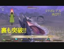 龍の寄り地裏攻略戦！！遂にここまでこれた……日常演舞のモンハンストーリーズ2実況第三十四幕【モンスターハンターストーリーズ2】２