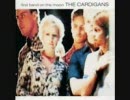 The Cardigans - Lovefool