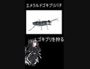 へんないきもの11