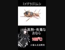 へんないきもの12