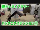 【ももうらとお尻の鍛え方】バックエクステンション①【筋トレライブラリー】