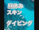 昼休みのスキンダイビング！べた凪の慶良間諸島