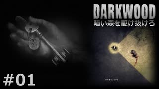 #01【Darkwood】暗い森を駆け抜けろ｜隠れる場所も逃げ道もないらしい【実況】