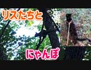 2021/09/06放送【157日目 北海道 帯広市 リス達と 夕方 あずにゃんぽ（猫散歩）】北海道全市町村制覇するまで帰れまてん！　猫と車中泊の旅　日本縦断【旅猫あずき～保護猫から旅猫へ～】
